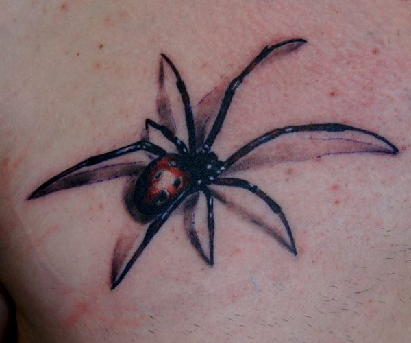 Realistische dreidimensionale Spinne auf der Haut